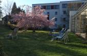 Liegewiese am Hotel Rennsteig
